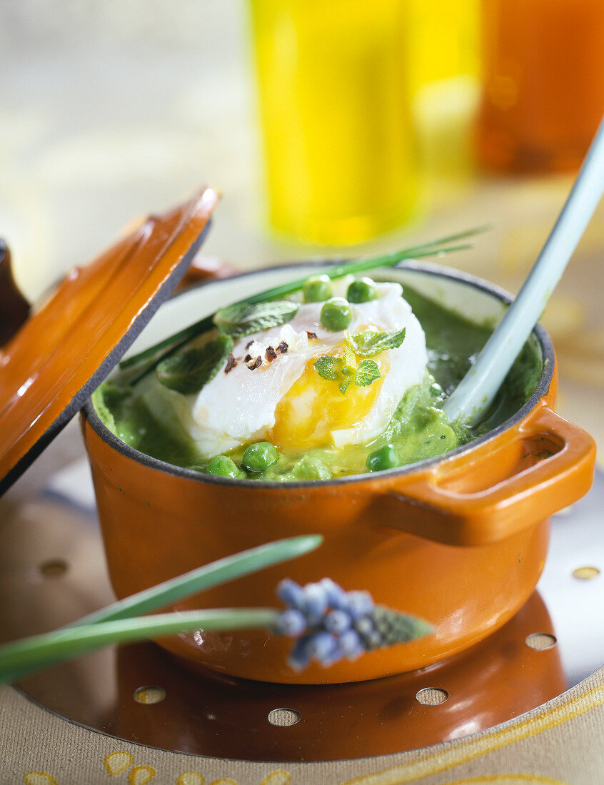 Poached egg with cream of fresh peas