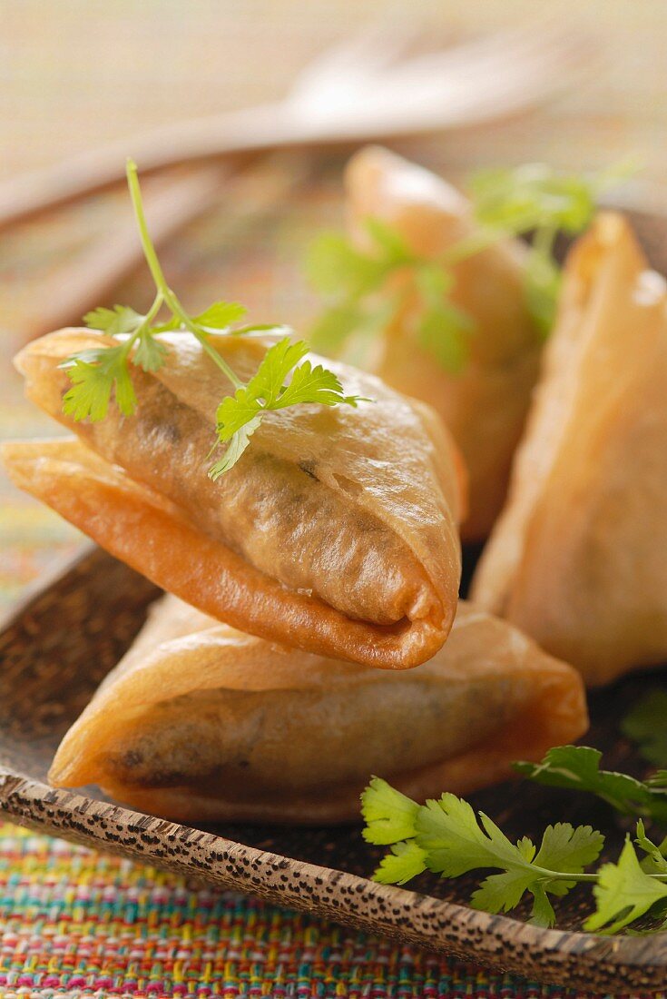 Samosas (gefüllte Teigtaschen, Indien) mit Thunfisch, Koriander und Curry