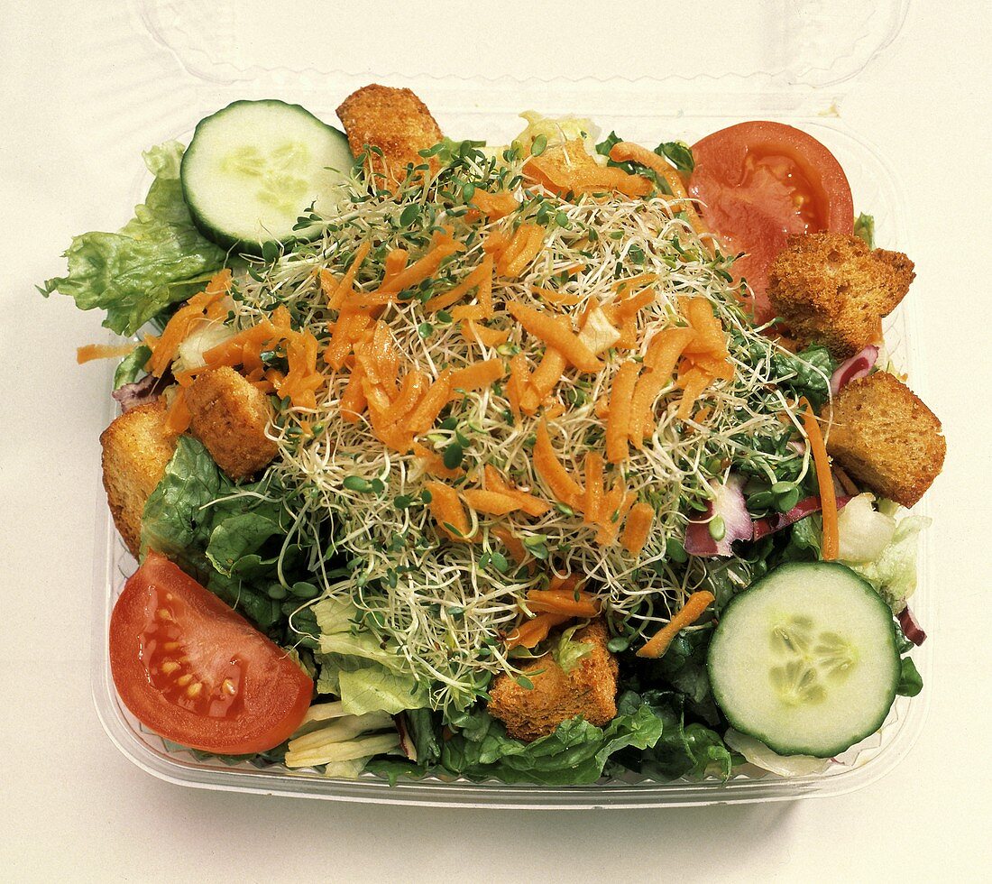 Green Salad with Sprouts; Plastic Container