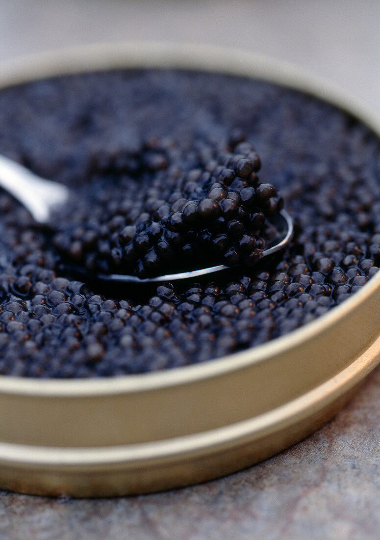Dose Kaviar, geöffnet mit Löffel