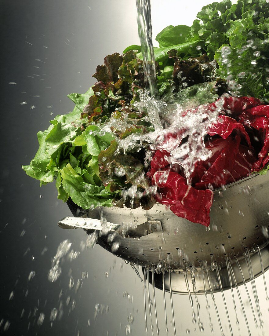 Assorted Lettuces Rinsed in a Colander