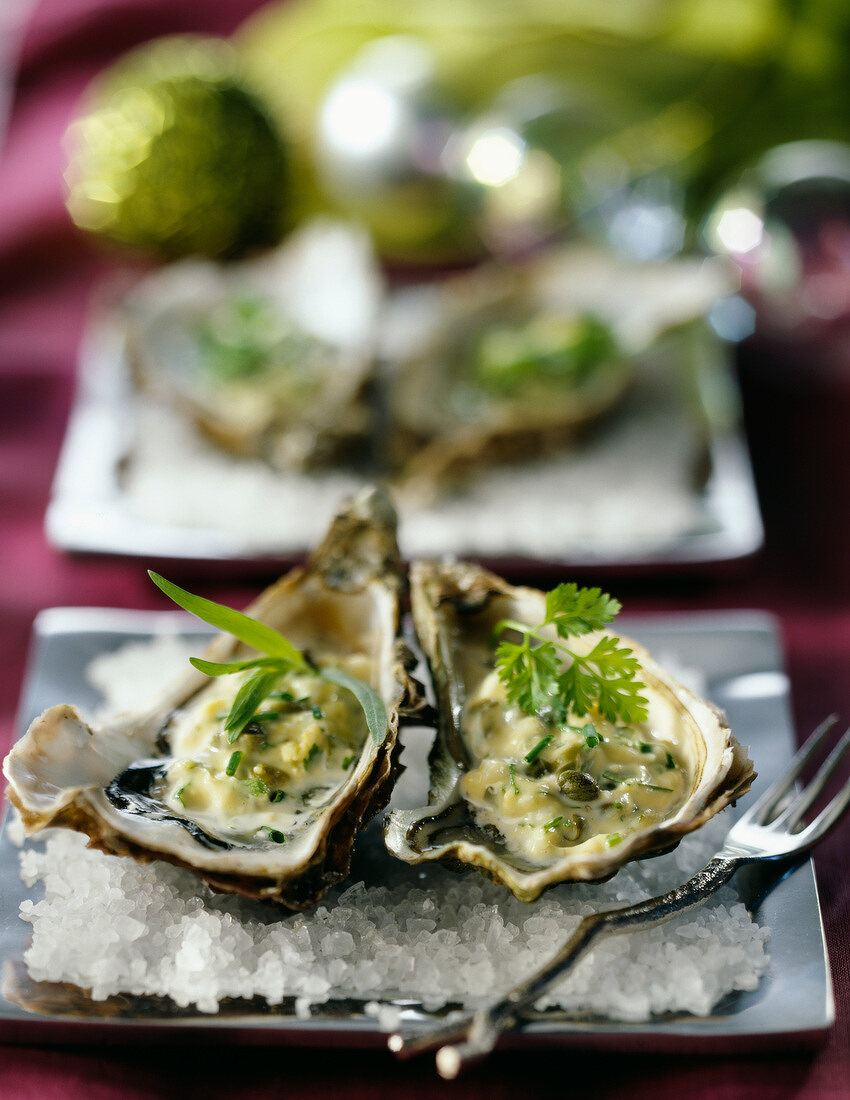 Oysters in Canaille sauce