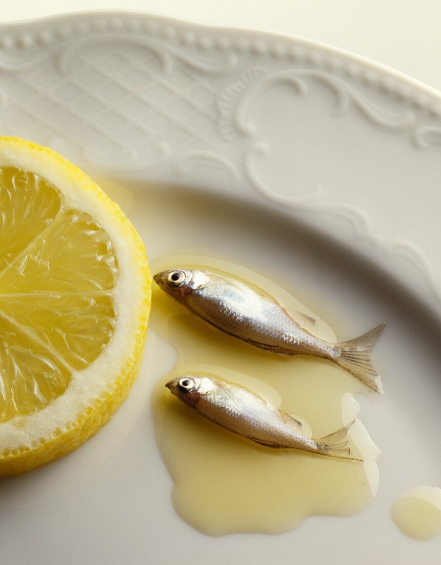 Sardines in oil