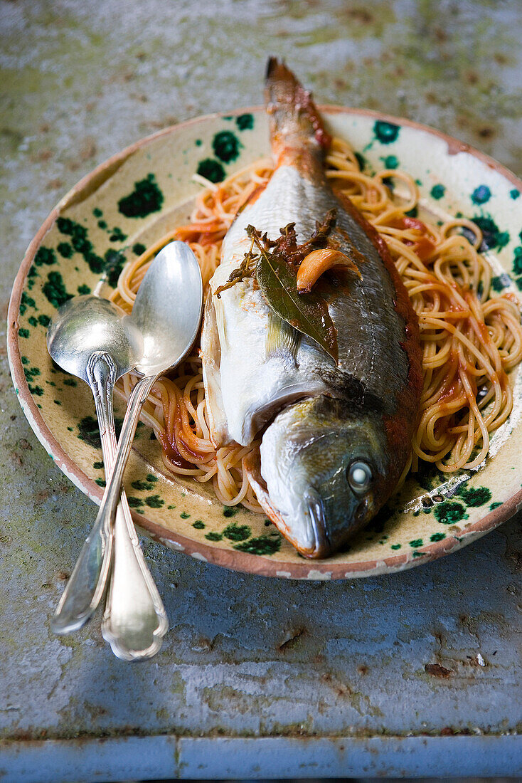 Dorade blau auf Tomatenspaghettini