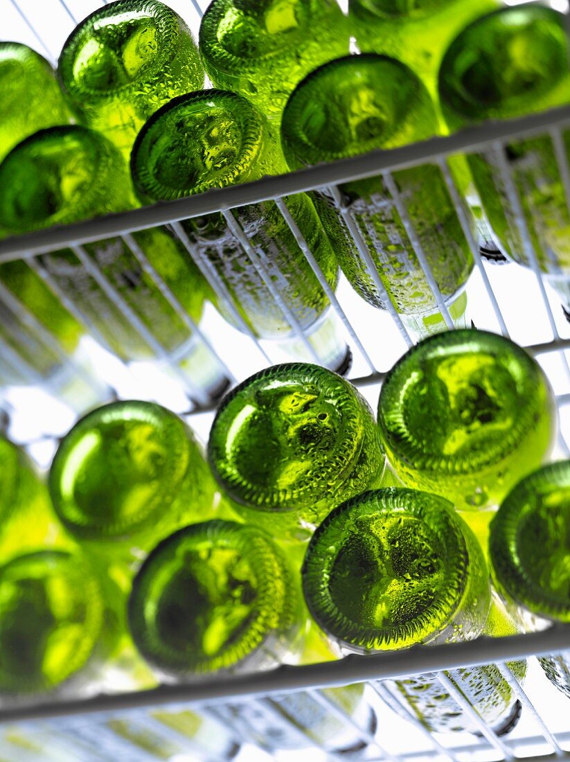 Reihen von Bierflaschen im Kühlschrank