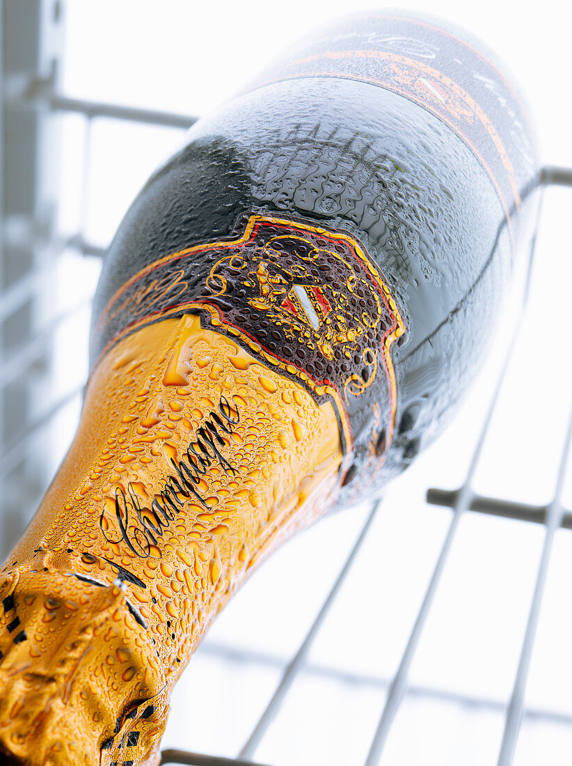 A bottle of champagne in the refrigerator