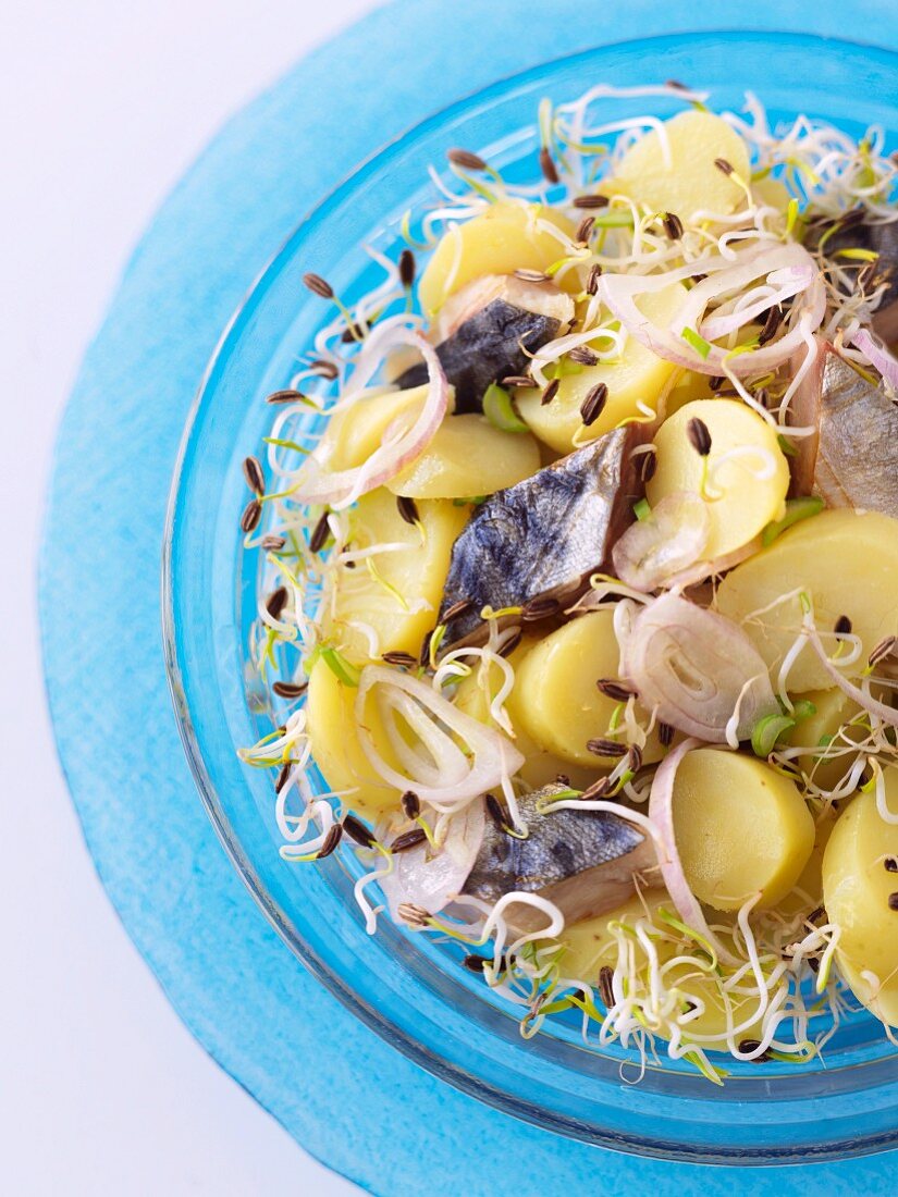 Ratte potatoes,smoked herrings and fennel sprout salad