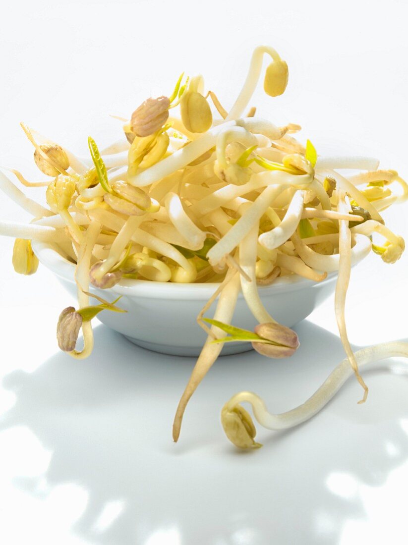 Soya beansprouts