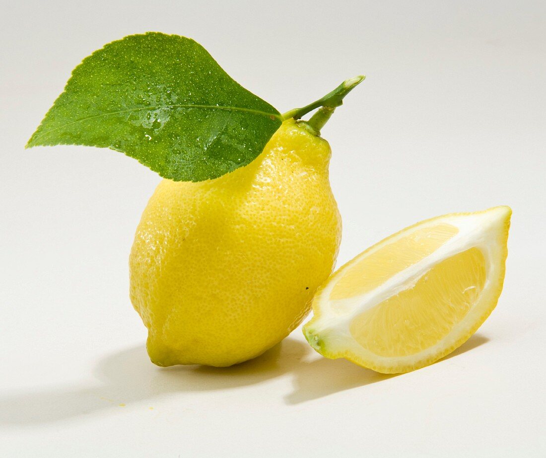 Zitrone und Zitronenschnitz