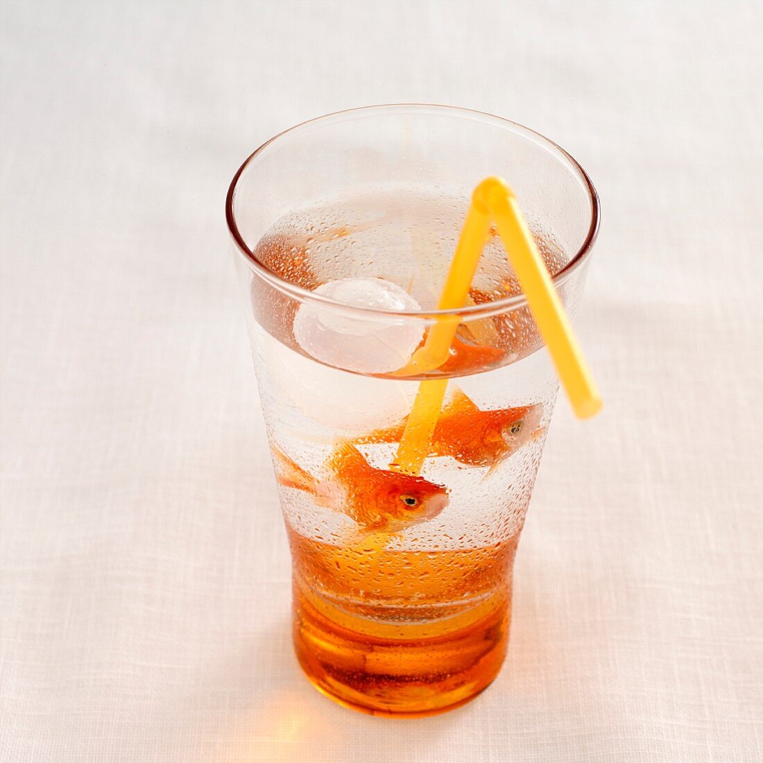 Cocktail mit Goldfischen