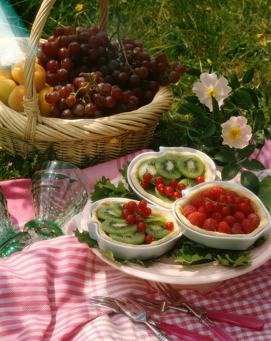 Small tartlets with fresh fruit for a picnic