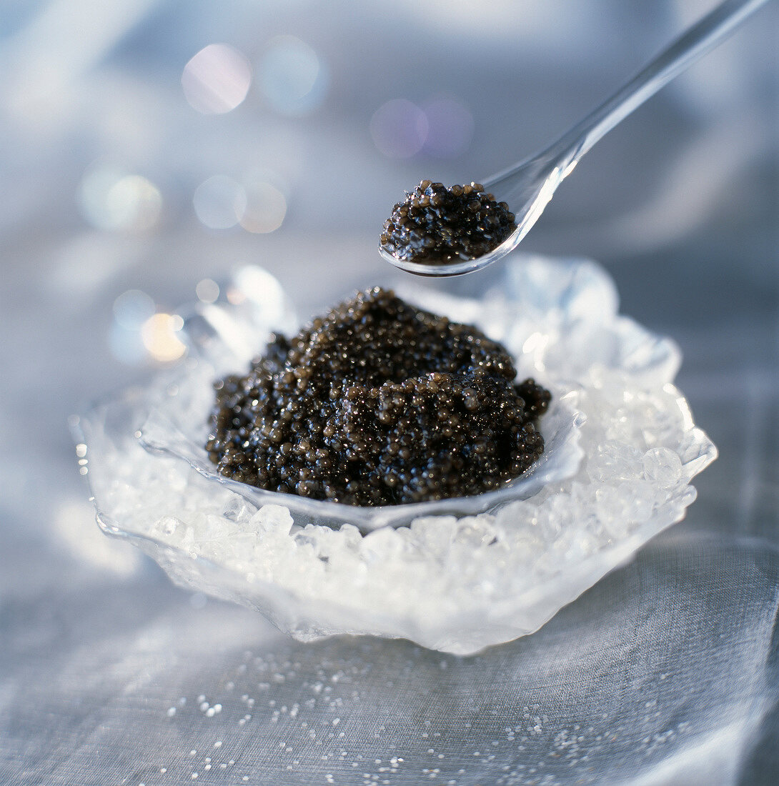 Kaviar auf Eis in Glasschälchen mit Löffel