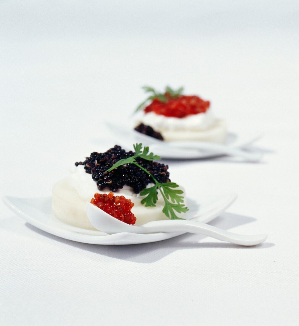 Gurken-Rettich-Timbale mit zweierlei Quinoa und rotem und schwarzem Seehasenrogen