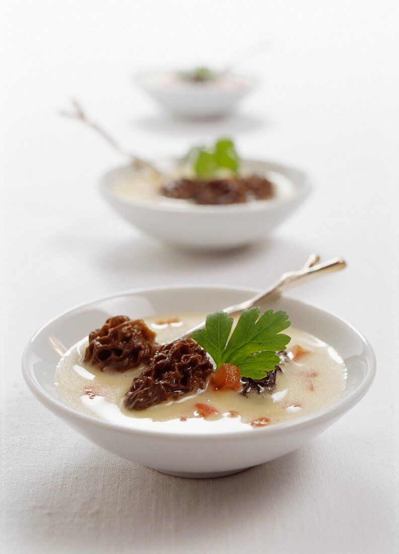 Morel mushroom ragout with Comté cheese and flat-leaf parsley