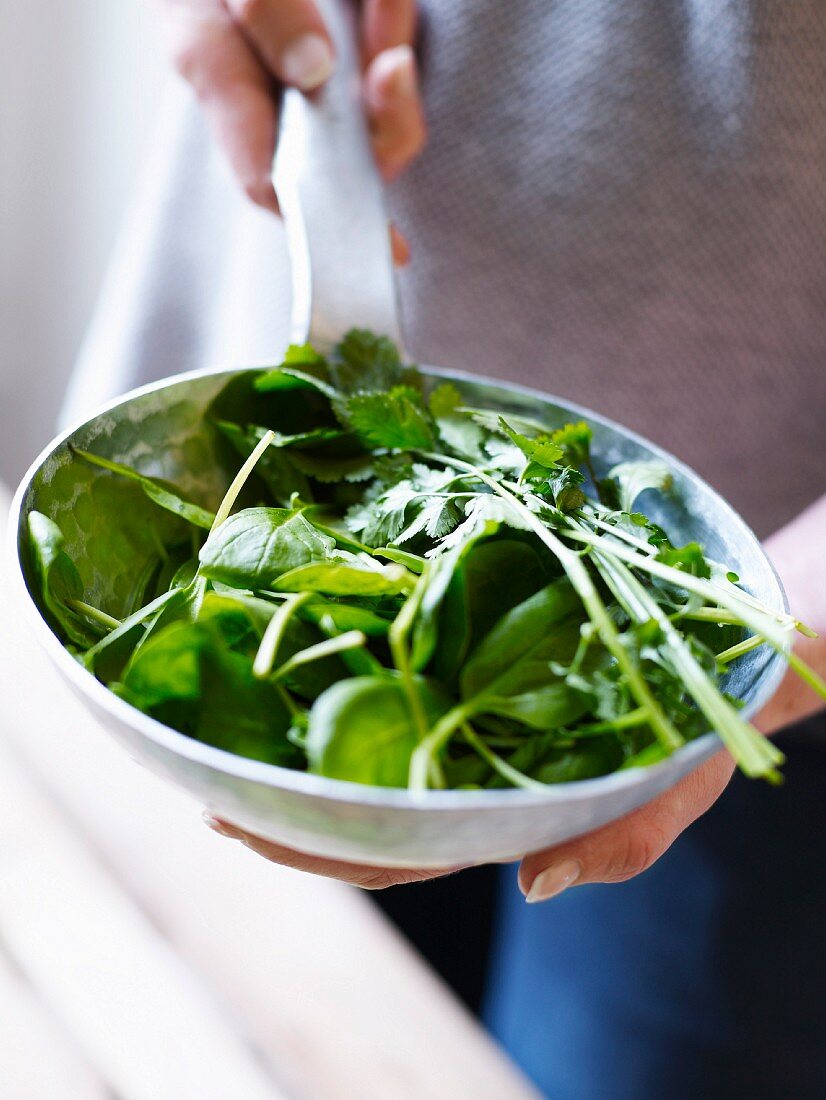 Frying pan full of raw spinach and herbs