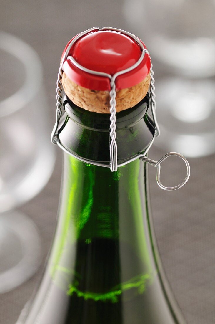 Wire-cap over the cork of a Champagne bottle