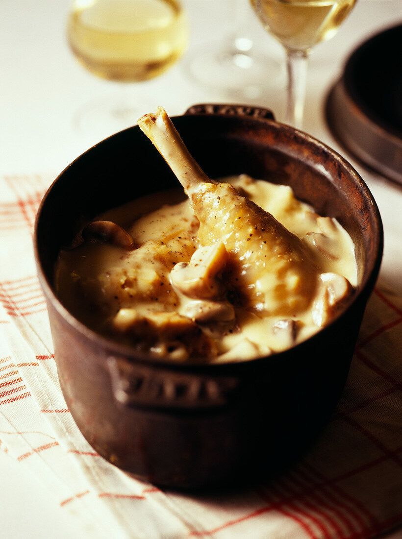 Chicken fricassée with cream sauce