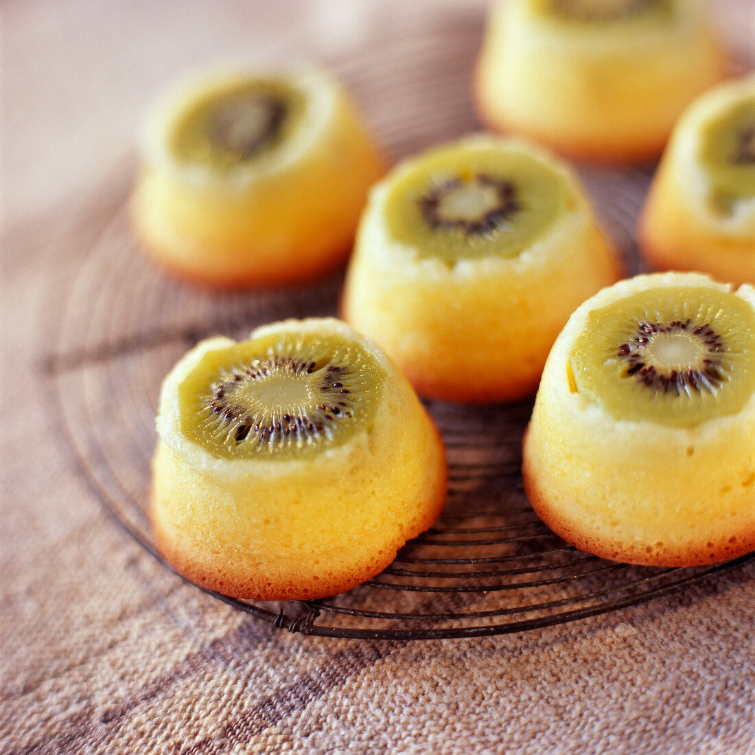Individual kiwi and citrus fruit puddings