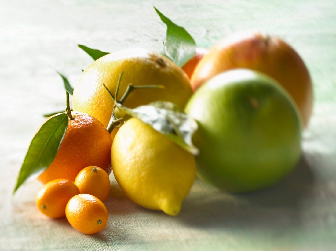Selection of citrus fruit