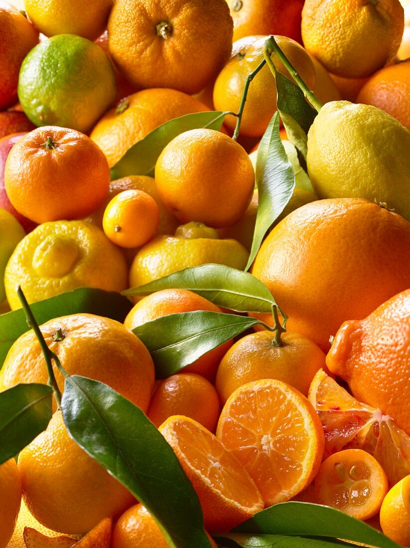 Overall of citrus fruit