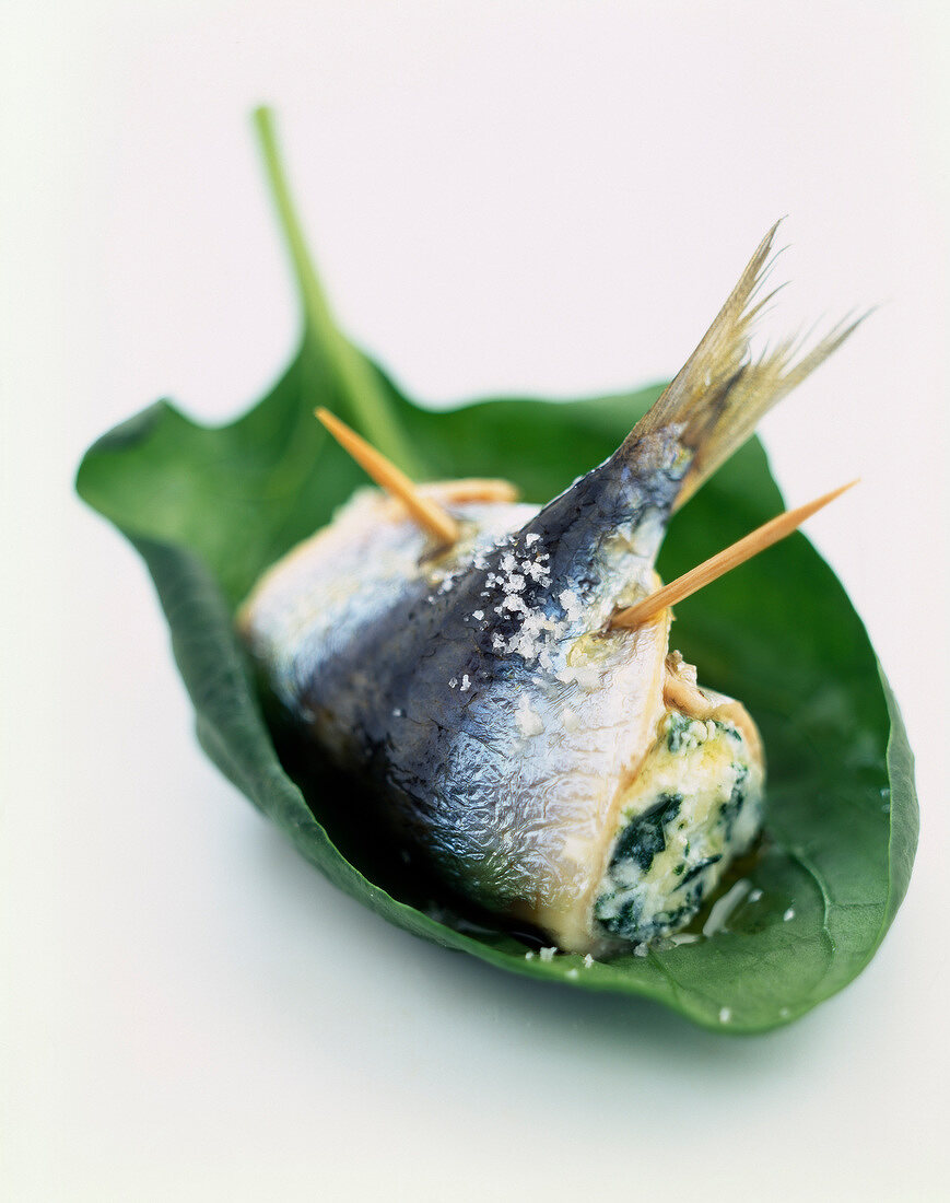 Sardinenröllchen auf korsische Art mit Brocciu-Käsefüllung