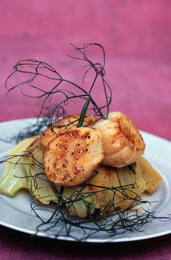 Pan-fried scallops and fennel