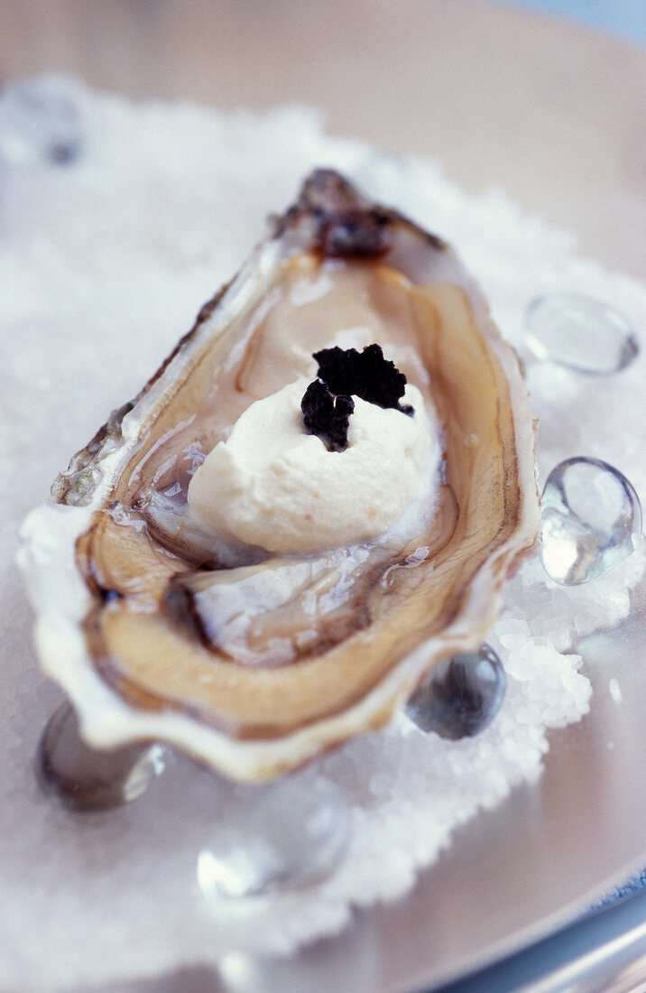 Oyster with foie gras-flavored whipped cream
