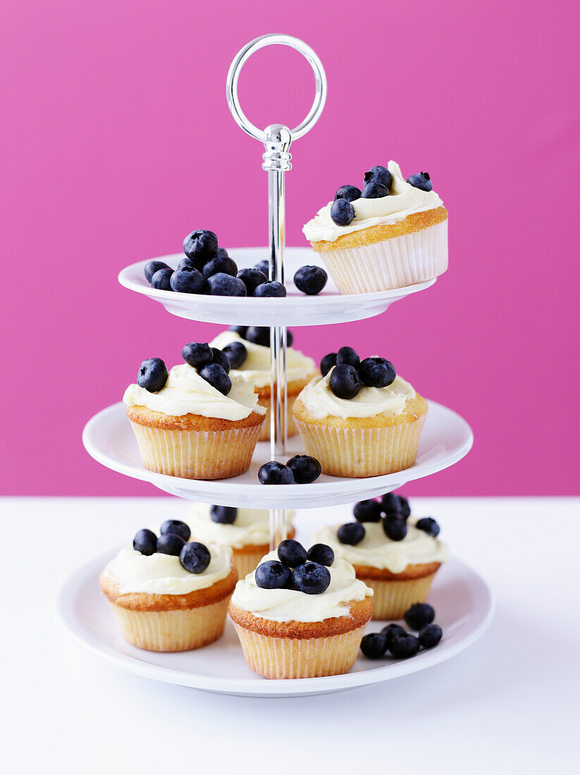 Bilberry cup cakes