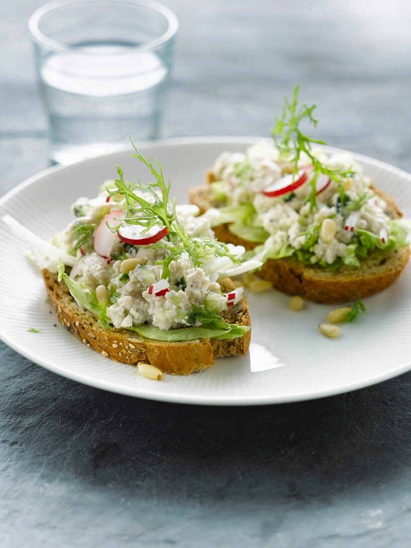 Fromage frais, cucumber and pink radish open sandwich