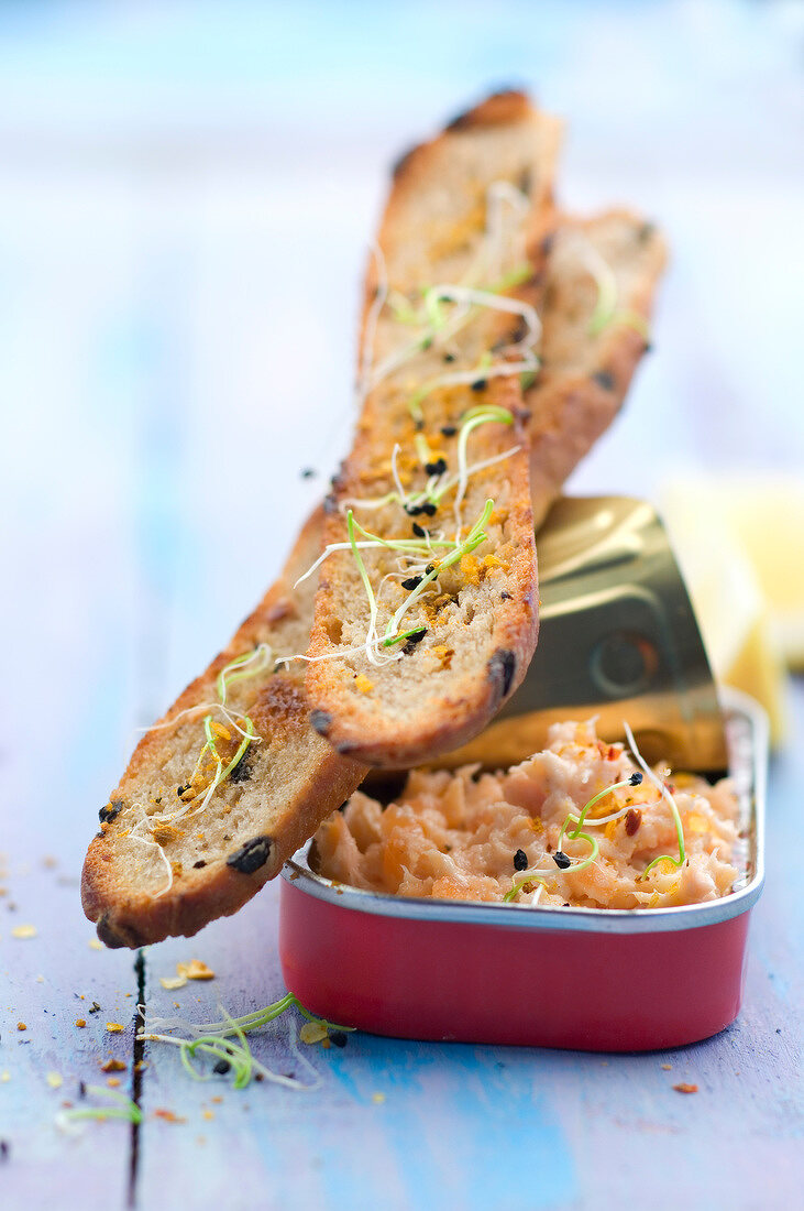 Potted salmon with lemon and lime and crunchy toasts with young shoots