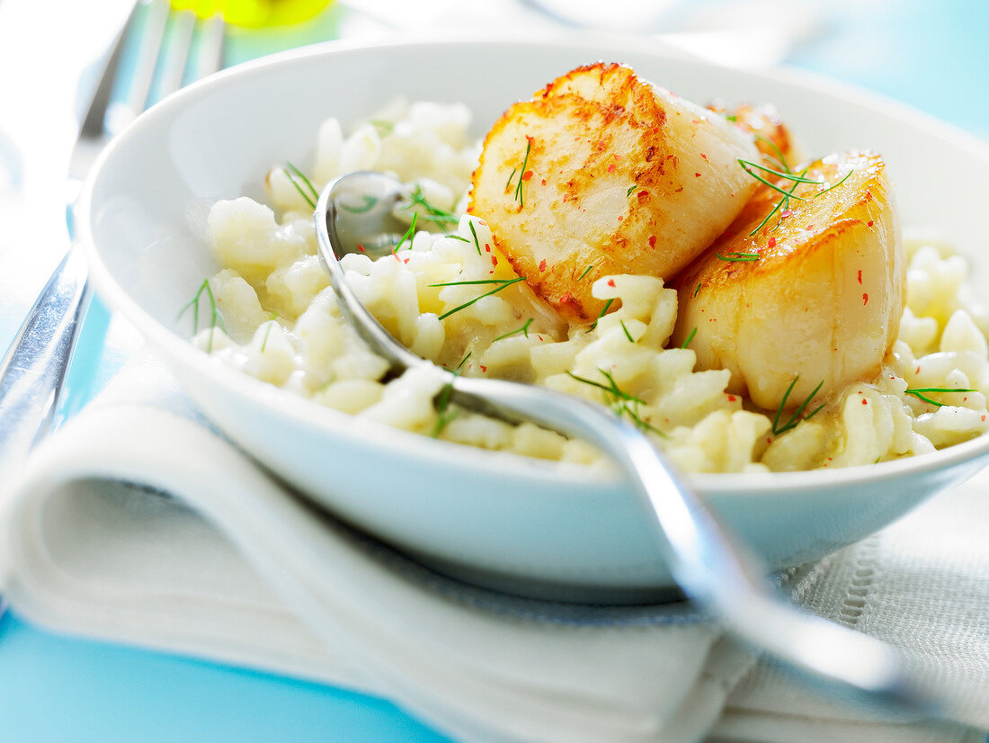 Risotto with scallops