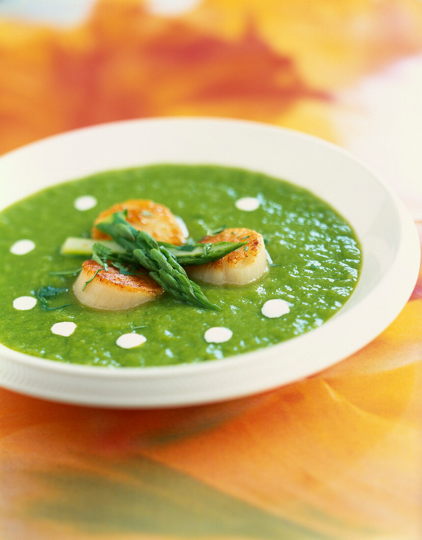 Cold asparagus soup with scallops
