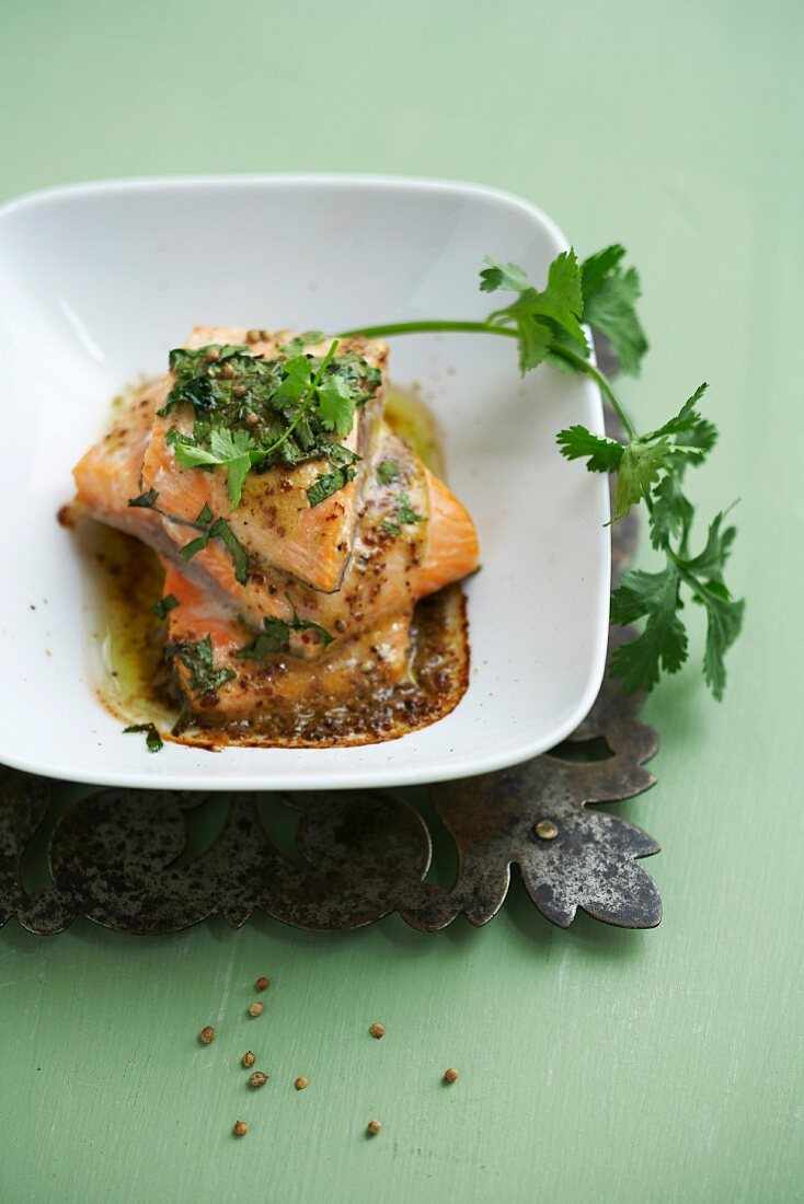 Two pieces of salmon with fresh and dry coriander