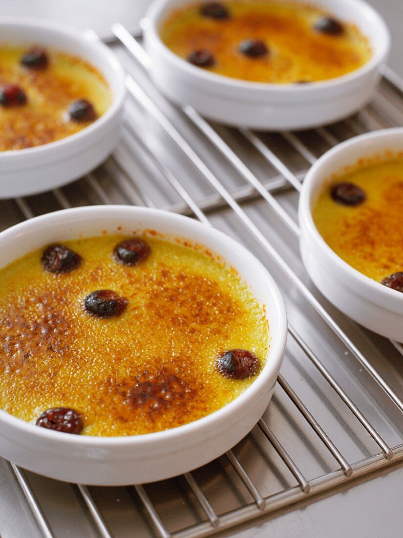 Creme Brulées mit Schattenmorellen