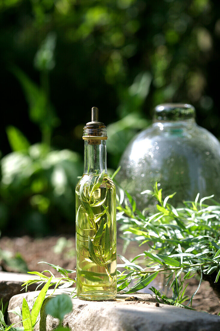 Tarragon-flavored oil