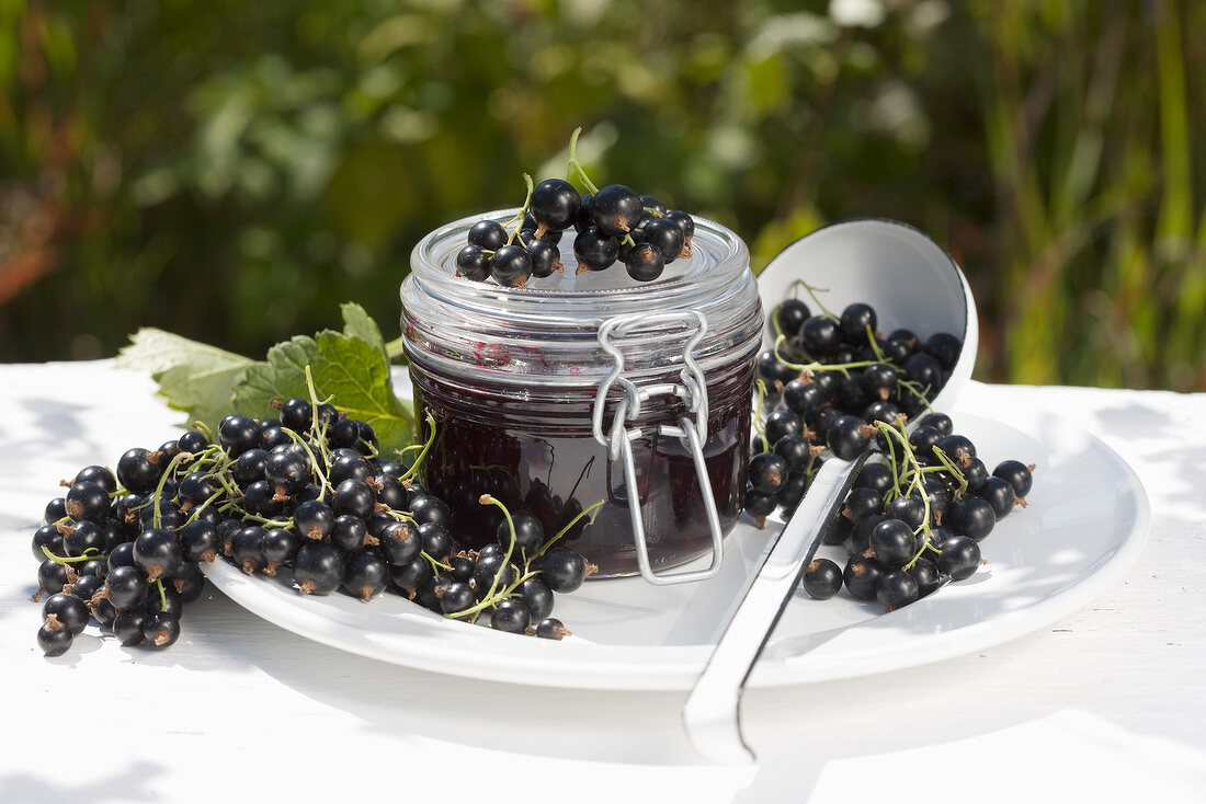 Blackcurrant jam