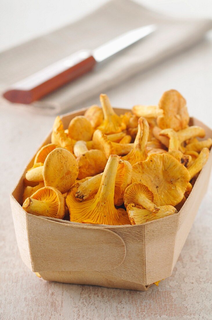 Punnet of chanterelles