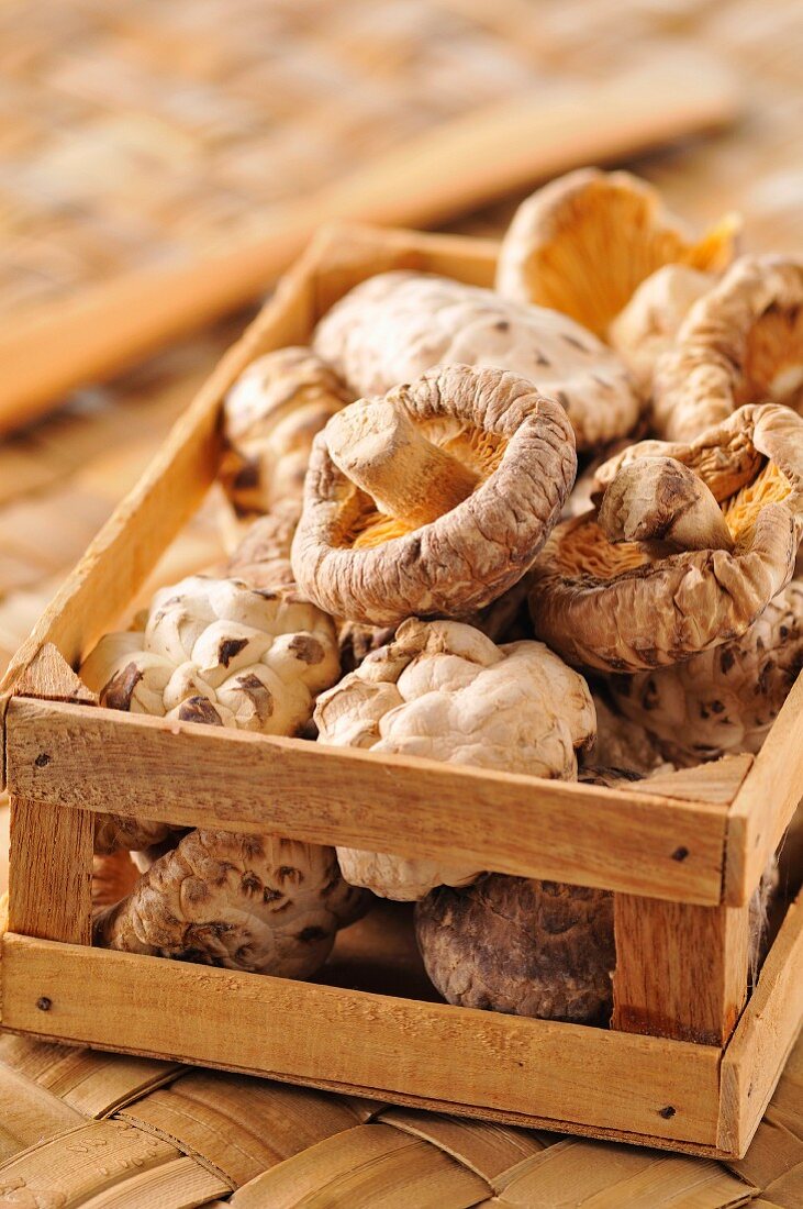 Small crate of dried mushrooms