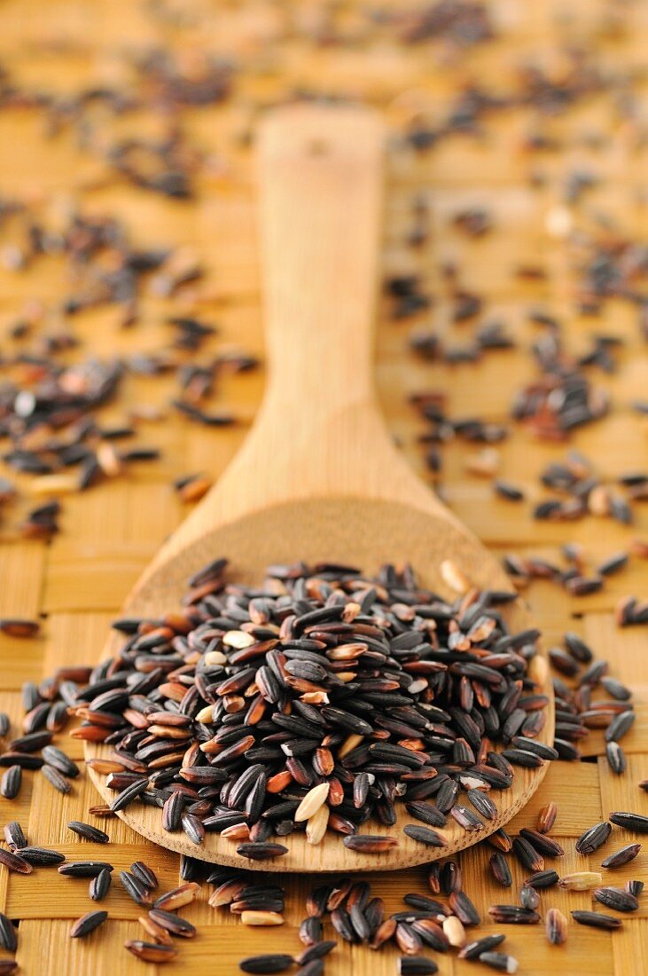 Spoonful of wild rice