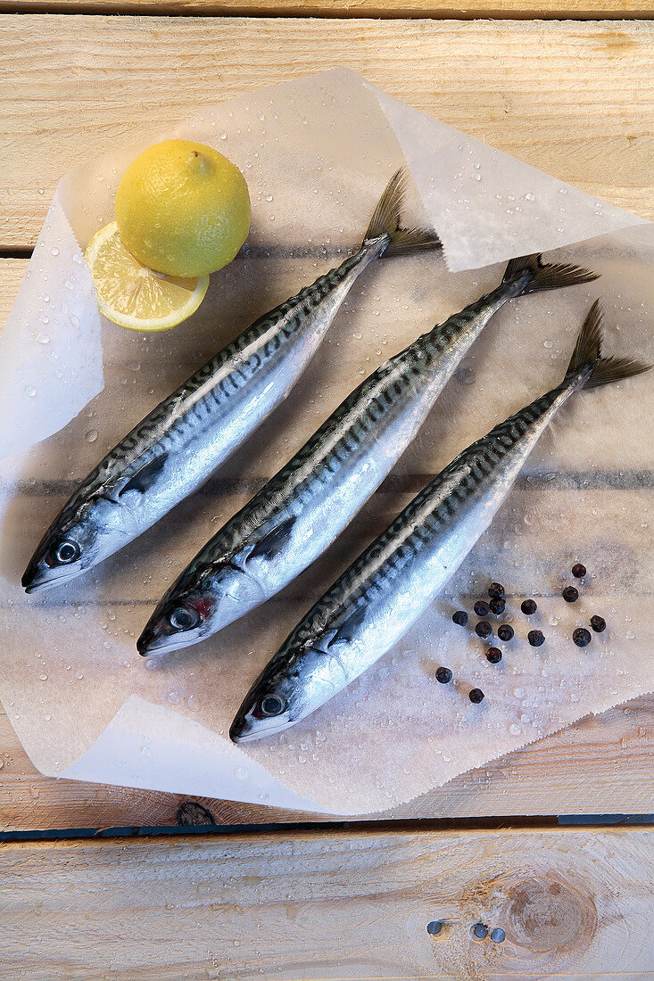 Raw mackerels