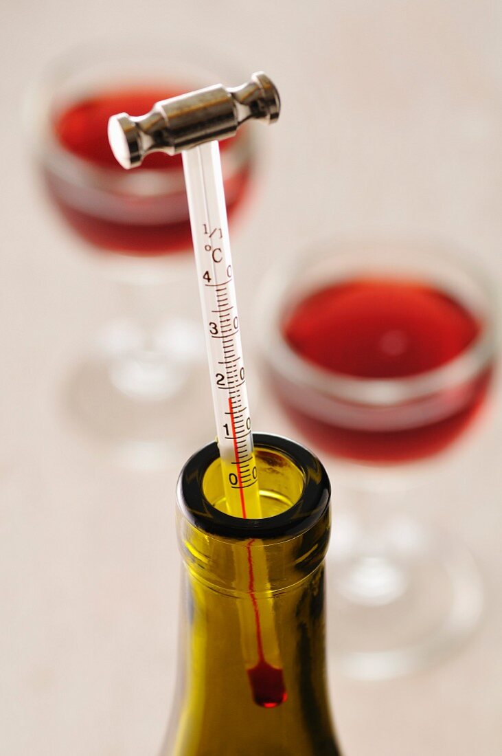 Wine thermometer – License Images – 60163395 ❘ StockFood