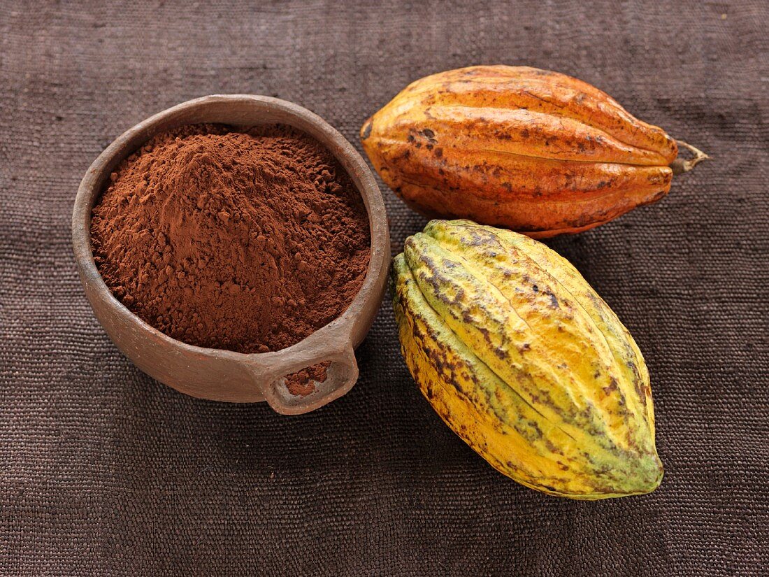 Cocoa beans and powder