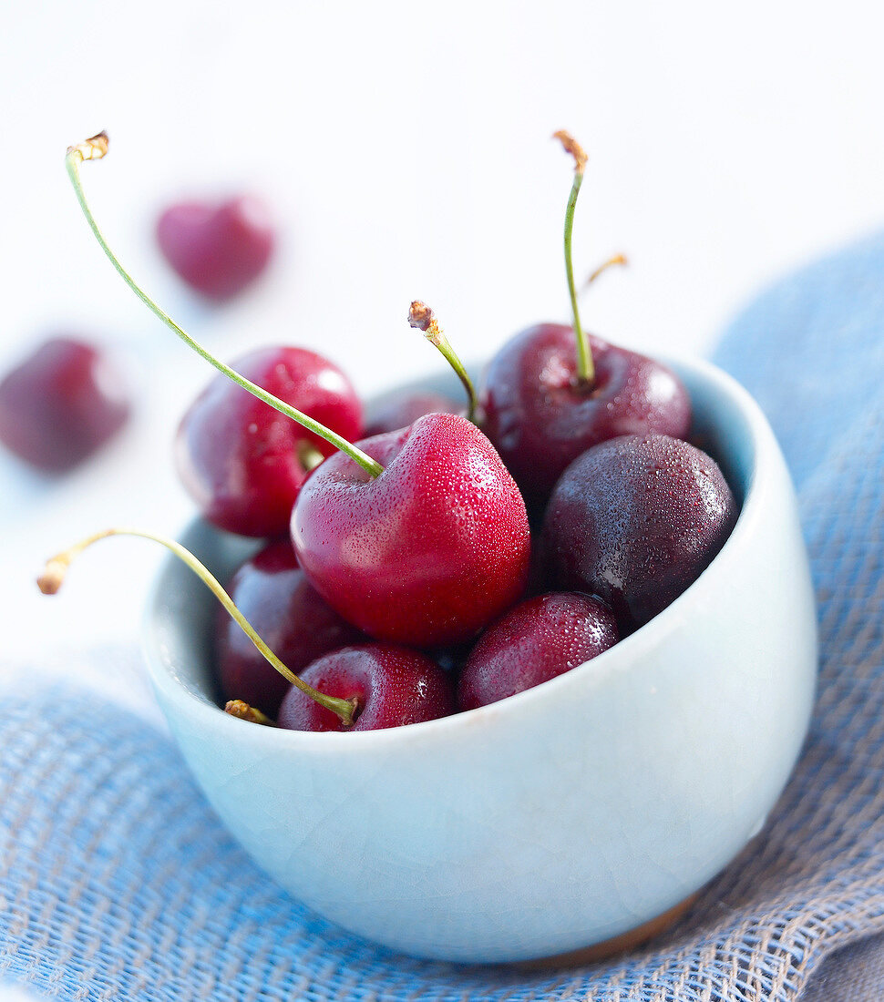 Bowl of cherries