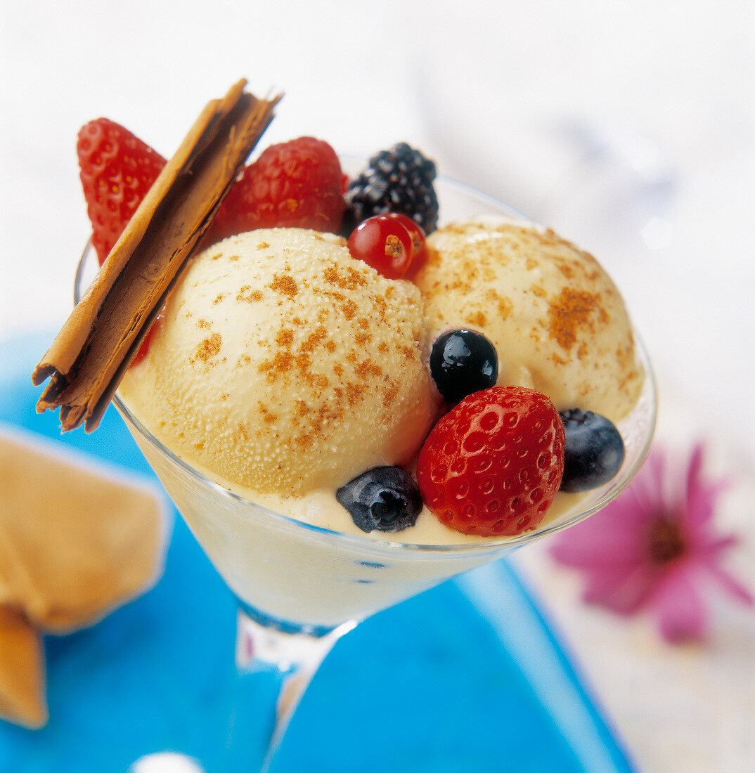 Vanilla ice cream with summer fruit