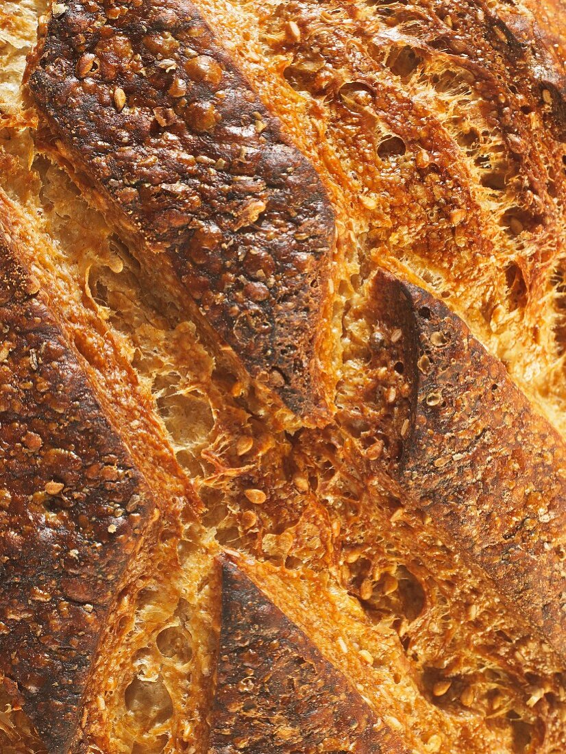 Close-up of golden bread crust