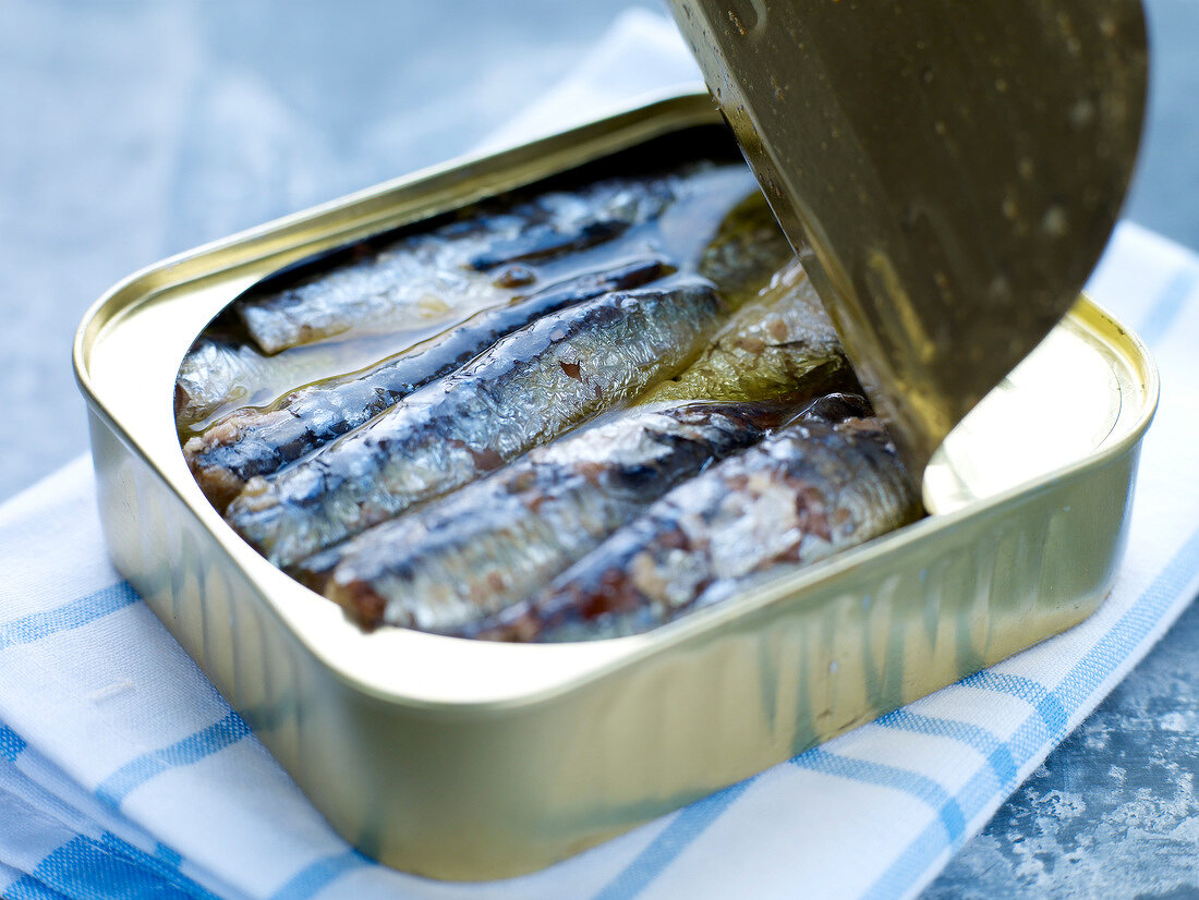 Canned sardines in oil