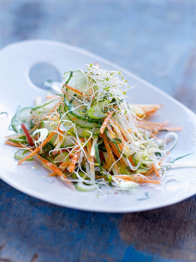 Möhren-Gurken-Salat mit Alfalfa-Sprossen