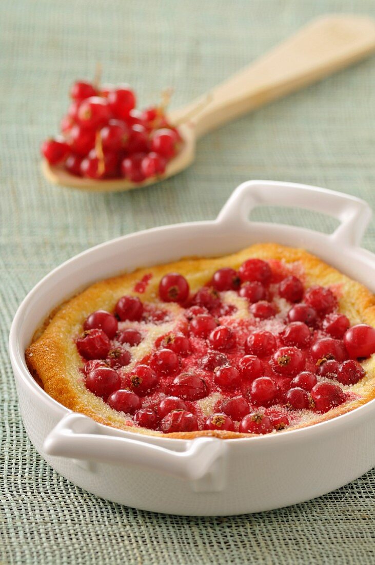 Clafoutis mit roten Johannisbeeren