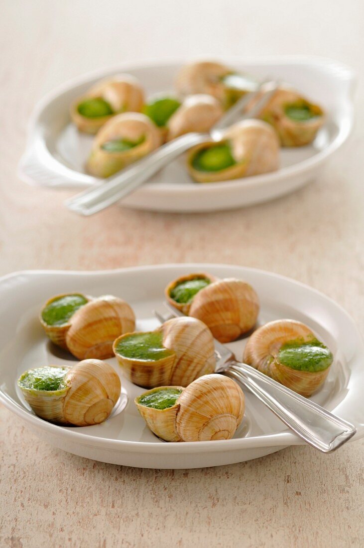 Snails stuffed with garlic and parsley
