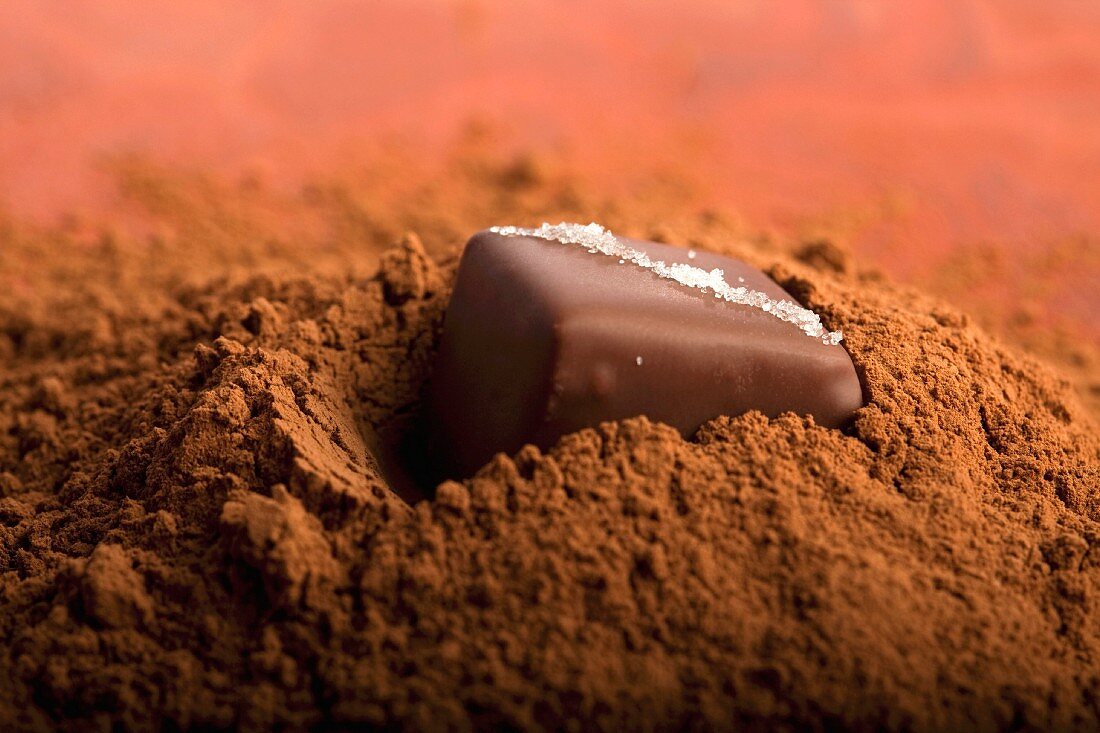 Schokoladenkonfekt in einem Haufen Kakaopulver